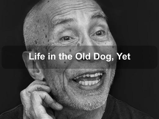 ‘Life in the Old Dog, Yet' is a solo exhibition by Brian Jones