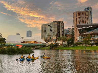 Spend 90 blissful minutes with one of the highly experienced kayak guides paddling on Adelaide's scenic River Torrens in...