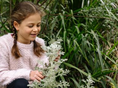 Discover the wonders of plants and create your own botanical keepsake!In this hands-on holiday program, kids will become... Discover the wonders of plants and create your own botanical keepsake!In this hands-on holiday program, kids will become...