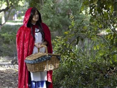 Be careful that you don't stray too far from the path in this interactive tale of Little Red Riding Hood.This roving per...
