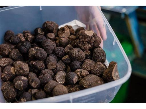 Celebrate the truffle season by indulging in an abundance of truffle-infused treats as you walk the truffle trail and le... Celebrate the truffle season by indulging in an abundance of truffle-infused treats as you walk the truffle trail and le...