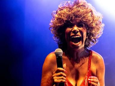 The ultimate Tina Turner experience The ultimate Tina Turner experience
