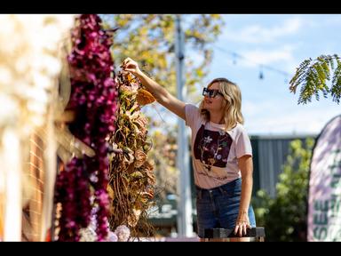 Where petals meet light, magic blooms. Where petals meet light, magic blooms.