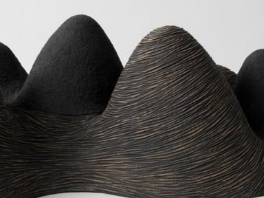 Simplicity, line, material, surface, and form are the focus of Robyn Campbell's art practice.